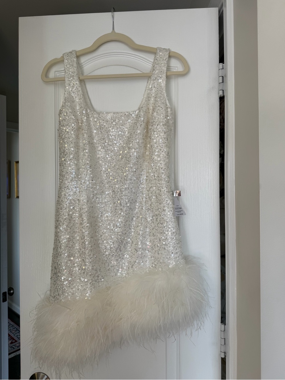 Nadine Nerabi Mini Dress with Feather Trim